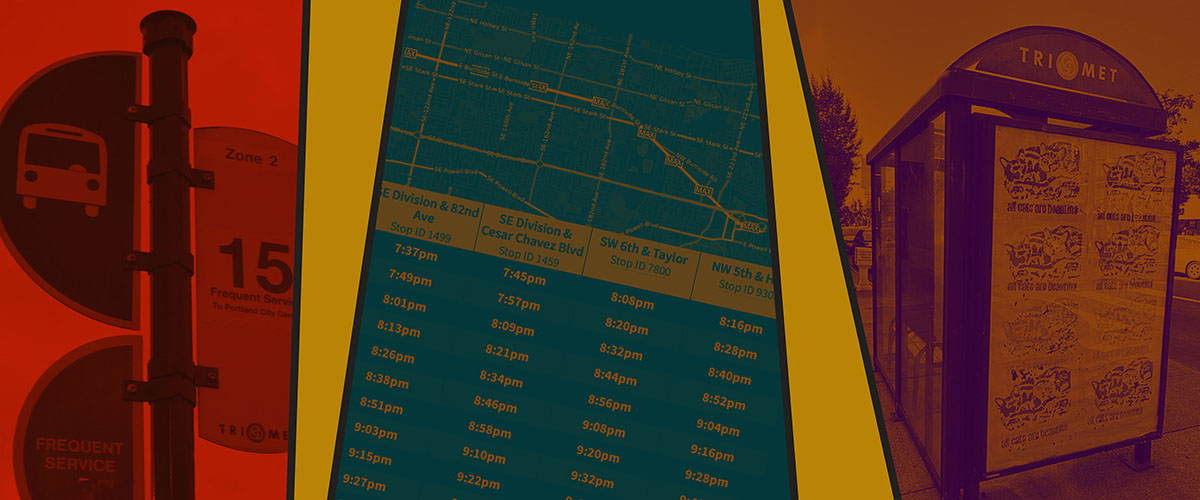 Ecosocialist Working Group Releases Transit Rider Survey Report