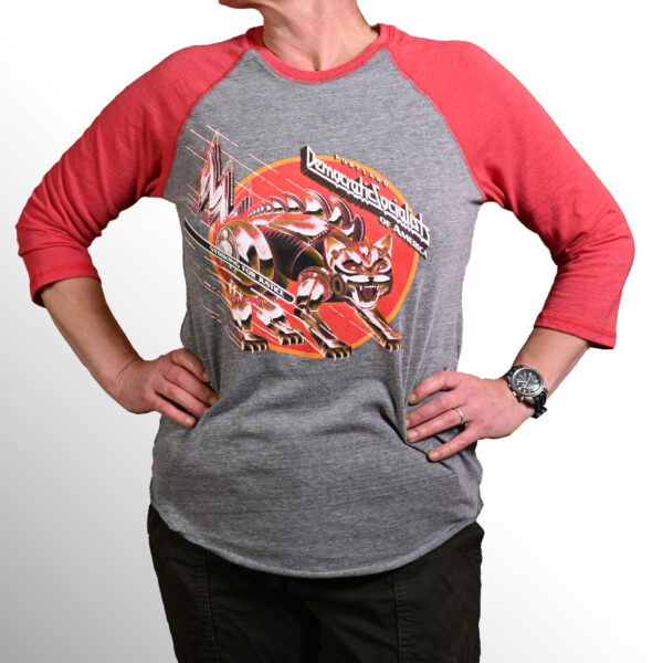 steel cat design detail